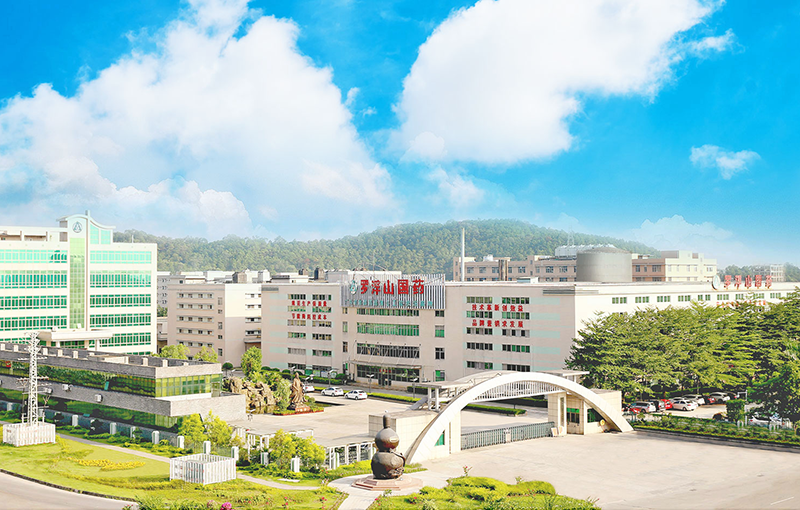 羅浮山國藥